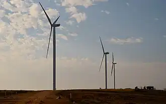 Three windmills in a field at golden hour