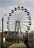 Ferris wheel in Victory Park
