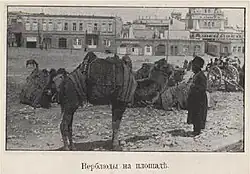Camels on Nikolayevskaya