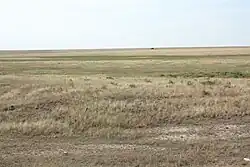 Steppe landscape in Yasnensky District