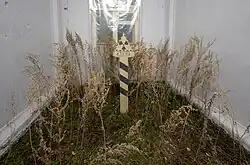 Pavel Otdelnov. Techa. 2021