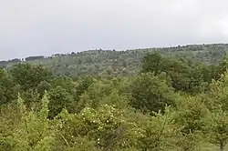 Panoramic view of the village