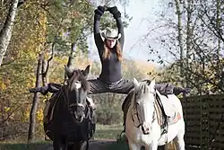 Training two circus horses in Russia