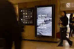 Une moule à lèvres bleues s'ouvre et révèle un cheval (A Blue-lipped Mussel Opens To Reveal a Horse) from 100 Years of Surrealism, Brussels, Belgium, 2022