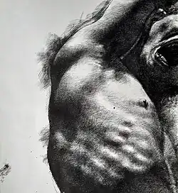 Torso I. pen drawing 29 x 42&nbsp;cm, 1999