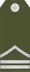 Stariji vodnik (Montenegrin Ground Army)[26]
