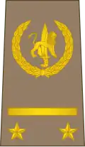 Lieutenant (Congolese Ground Forces)[25]