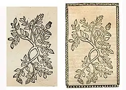 Illustration of Thymus serpyllum as a substitute for an illustration of Veronica officinalis. Left: Hortus Sanitatis, Straßburg 1497 (I, 429). Right: Kleines Destillierbuch (Blatt 43r)