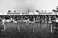Le Mans start in 1965