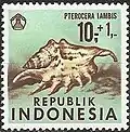 Lambis lambis on a 1969 Indonesia postage stamp