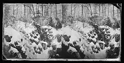 Snow Scene, Prospect Park, c. 1872–1887. George Bradford Brainerd