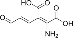 Skeletal formula of 2-amino-3-carboxymuconic semialdehyde