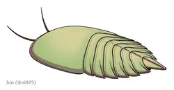 Life restoration of Brachyaglaspis singularis (Tremaglaspididae)