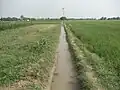 Little canal in fields