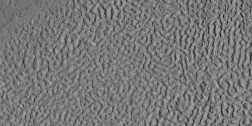 Brain terrain, as seen by HiRISE under HiWish program