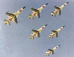 6 Imperial Iranian Air Force F-5Es of the Golden Crown aerobatic display team in an aerobatic exhibit.