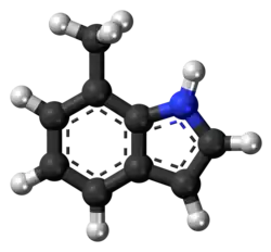Ball-and-stick model of the 7-methylindole molecule