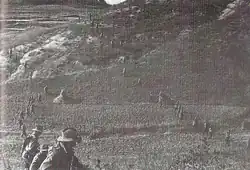 Two lines of evenly spaced soldiers wearing slouch hats advancing across a ridgeline