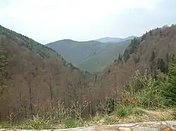 View of the Bihor Mountains from around Nucet