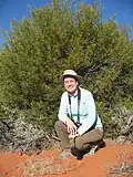 A. ligulata habit with person, Sturt NP near Tibooburra NSW