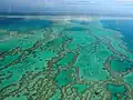 Great Barrier Reef in Australia, an endangered natural wonder.