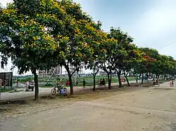 Aftabnagar area of Dhaka
