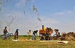 Threshing of paddy by machine, Bangladesh