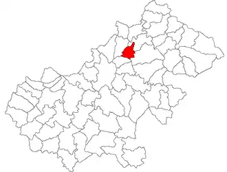 Location in Satu Mare County