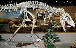 Albertasaurus