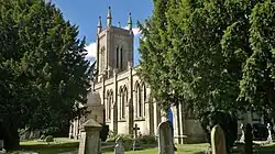 The church and the yew trees