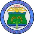 Official seal of Allacapan
