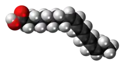 Space-filling model of the α-parinaric acid molecule