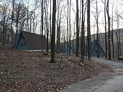 View of two small lodge buildings behind many thin trees.