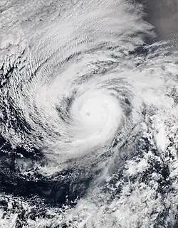 Satellite image of Hurricane Andres on June&nbsp;1