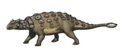 Ankylosaurus magniventris