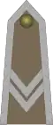 Starszy sierżant (Polish Army)[28]