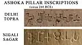 Ashoka pillar inscriptions