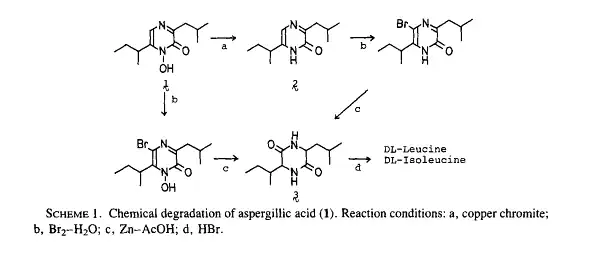 Aspergillic acid reactions 2