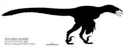 Diagram showing white bones in a dinosaur-silhoutte