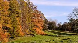 Countryside at Ballynahatty