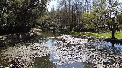 A lake with foot bridge, Avery Island