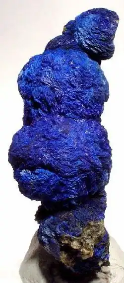 A vertical cluster of four deep blue azurite rosettes mounted on small white base