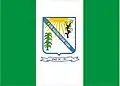 Flag of Municipality of Pio IX
