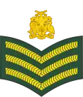 Staff sergeant (Barbados Regiment)[25]