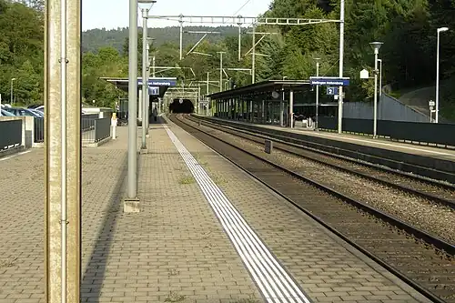Railway tracks leading into tunnel bracketed by platforms
