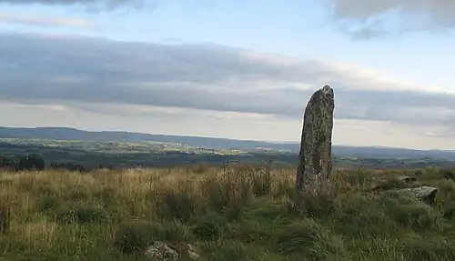 Unidentified standing stone located between Millstreet and Ballinagree.
