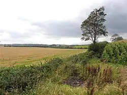 A view across Ballygallum