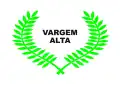 Flag of Vargem Alta