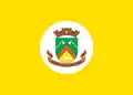 Flag of Santa Rosa de Lima, Santa Catarina
