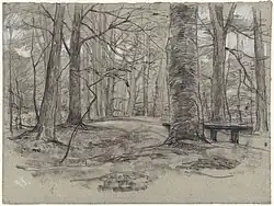 Bench in a forest